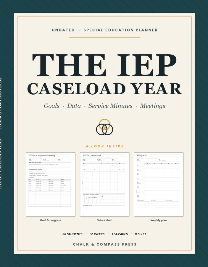 The IEP Caseload Year